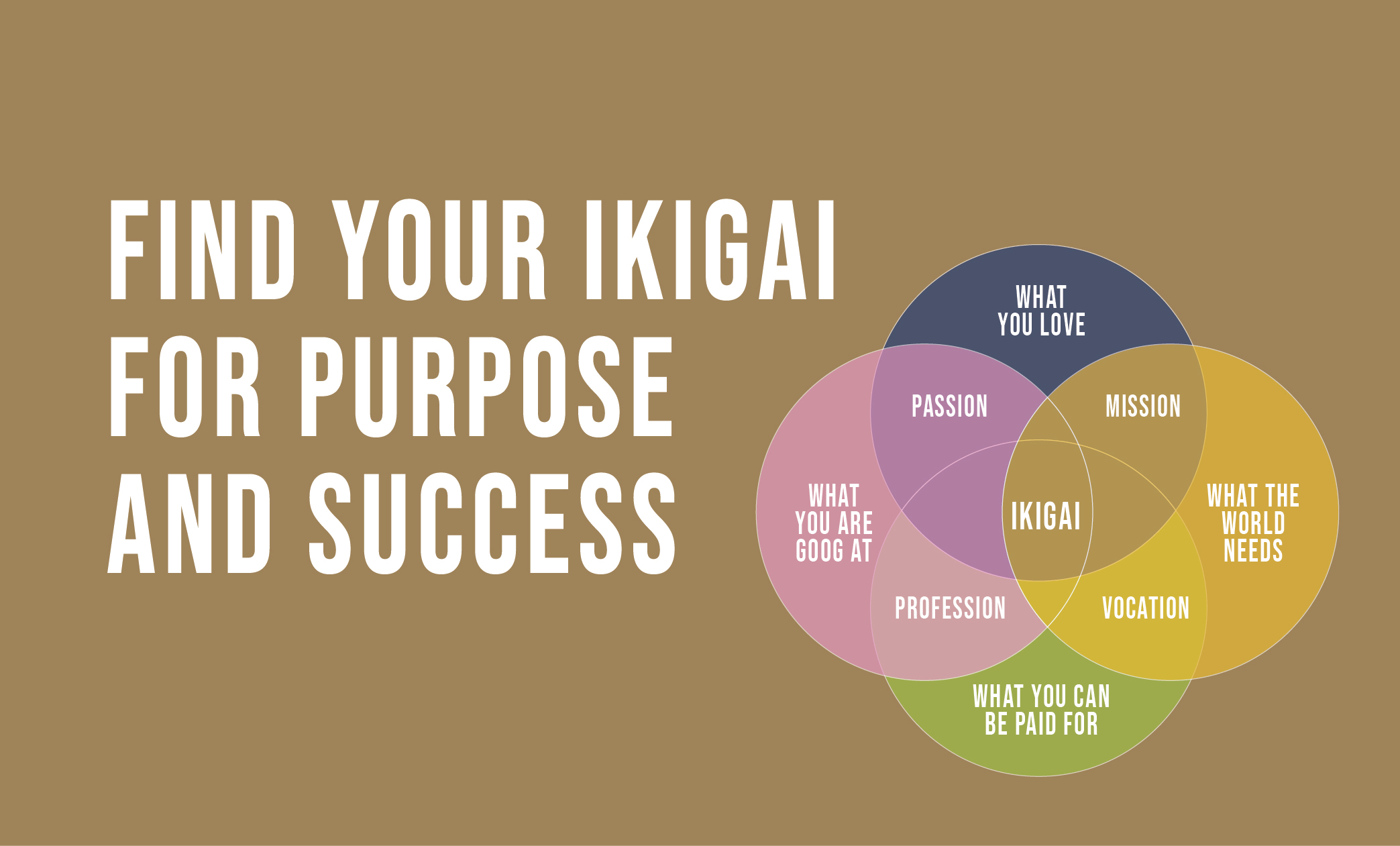 Discovering Your Ikigai at Work: 3 Questions That Shape Your Success Story